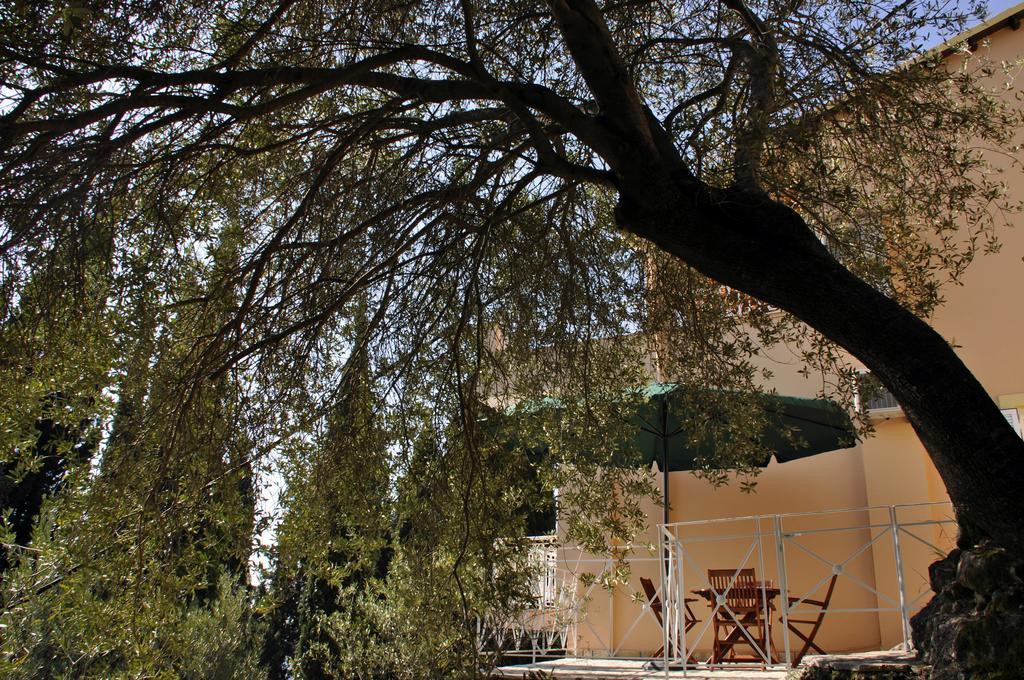 Stella'S Apartments Agios Gordios  Bagian luar foto